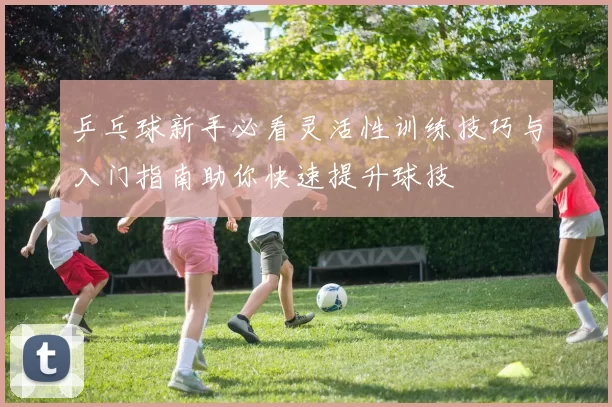 乒乓球新手必看灵活性训练技巧与入门指南助你快速提升球技